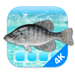 Aquarium 4K